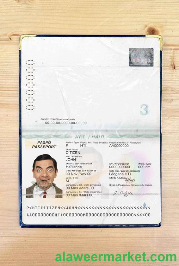 Haiti passport photo look